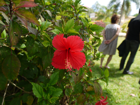 2013052103.jpg