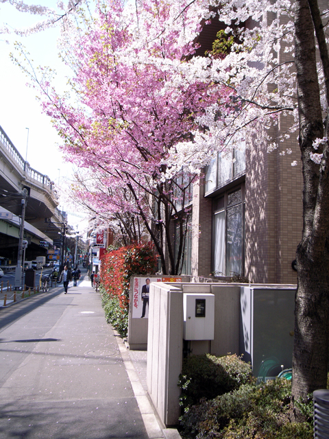 20080331.jpg