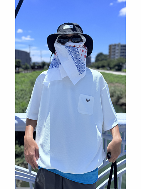 BLOG：WHIZLIMITED